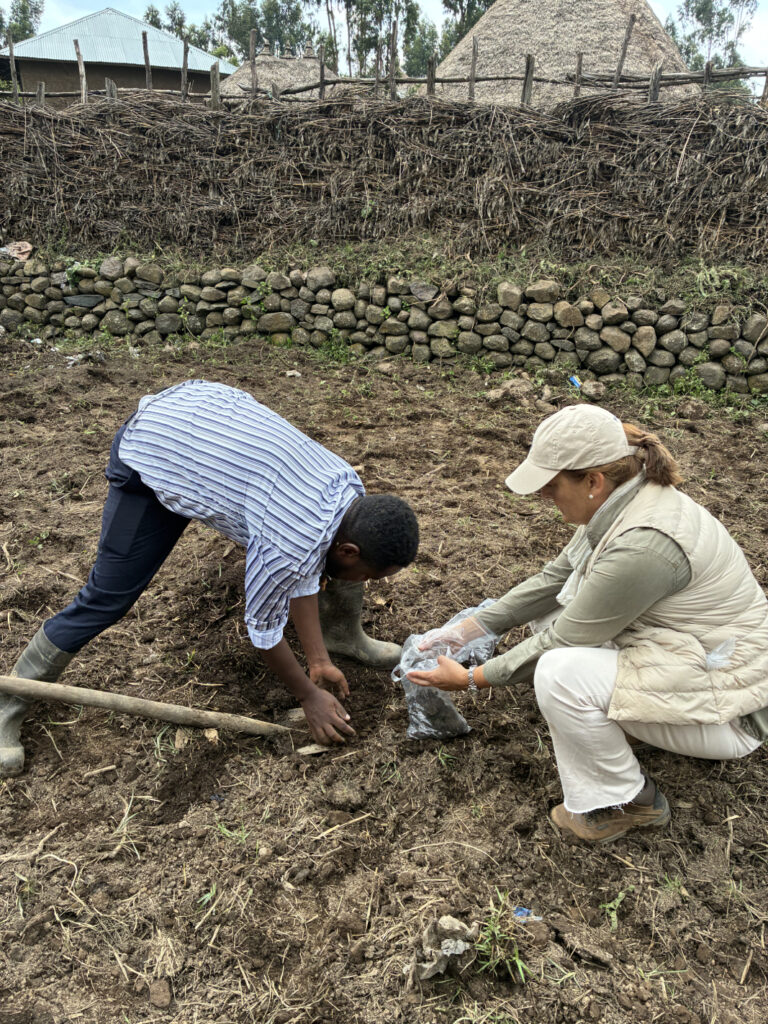 Investigadoras del CEU San Pablo recogiendo muestras del terreno